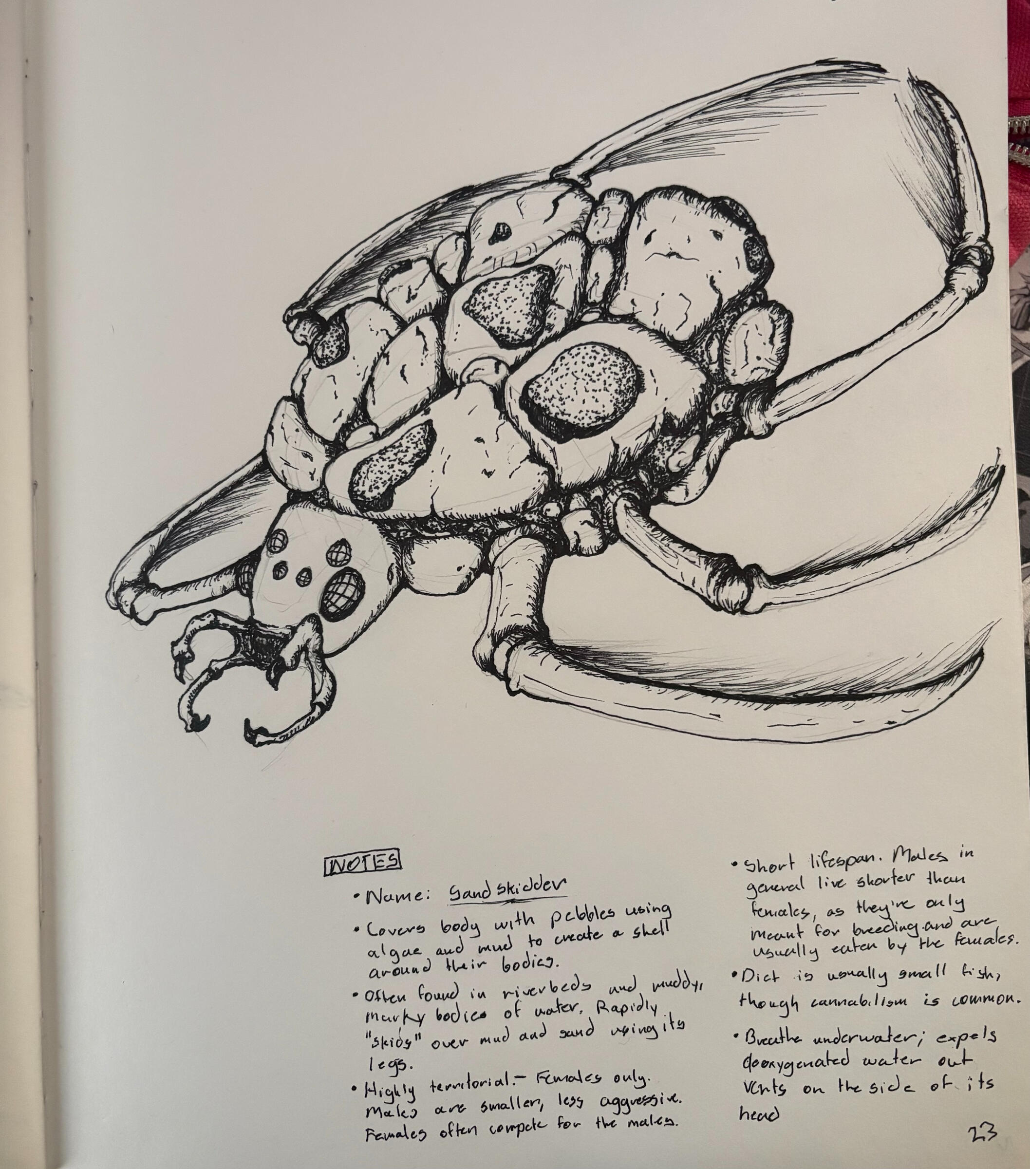 Untitled Untitled